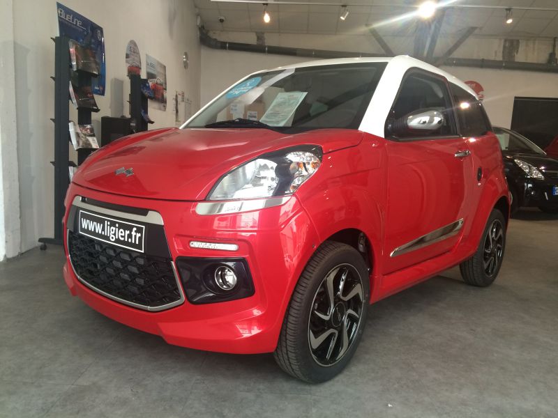 voiture sans permis lyon 8