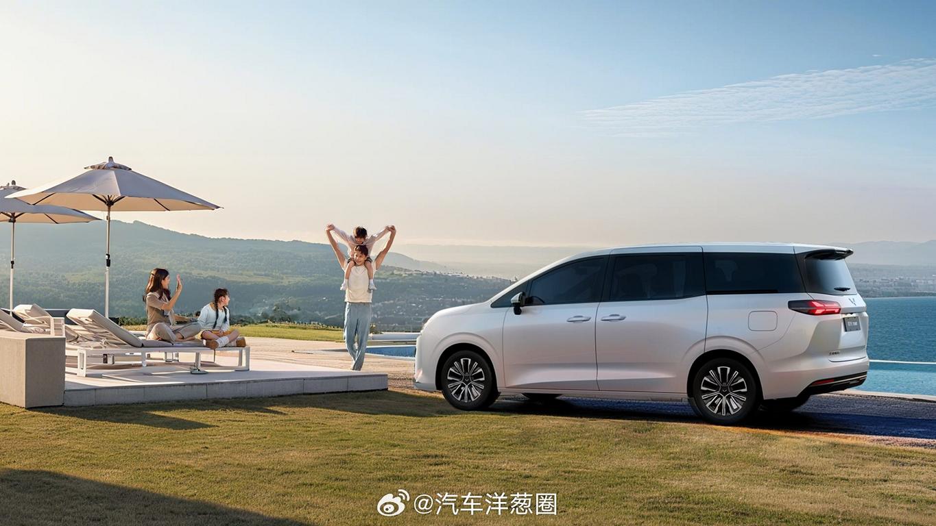 , Chinas Antwort auf den e-Familienvan!