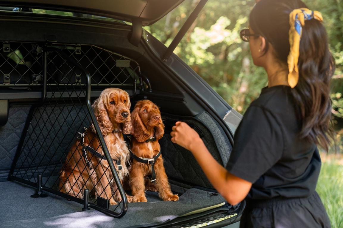 , Bentley Bentayga Wird Hundetauglich Dank Pet Accessory Pet!