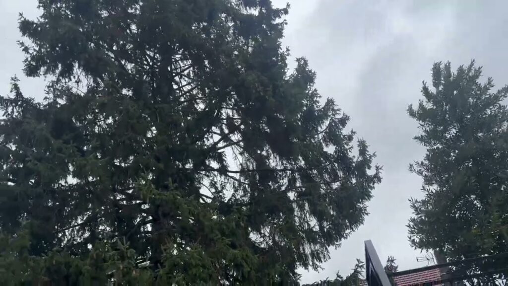 , Aulnay-sous-Bois,Passage de la tempête Benjamin à Aulnay-sous-Bois le 23 octobre 2025