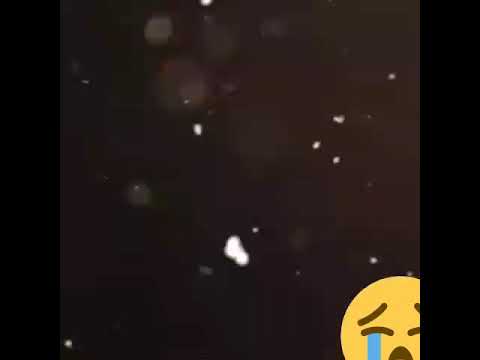 Image Youtube
